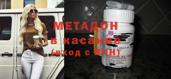прущие грибы Алзамай